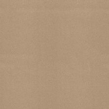 Shaw Floors Value Collections Sandy Hollow Cl III Net Stucco 00110_5E511