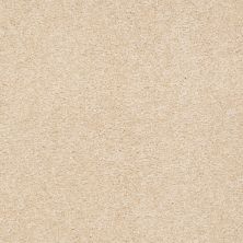 Shaw Floors Value Collections Sandy Hollow Cl III Net Marzipan 00201_5E511
