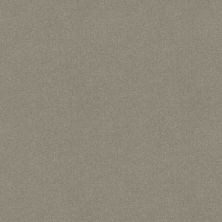 Shaw Floors Value Collections Sandy Hollow Cl III Net Silver Charm 00500_5E511