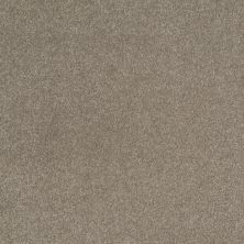 Shaw Floors Value Collections Sandy Hollow Cl III Net Wood Smoke 00520_5E511