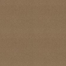 Shaw Floors Value Collections Sandy Hollow Cl III Net Muffin 00700_5E511