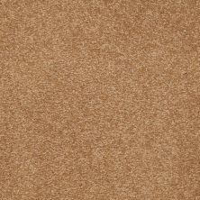 Shaw Floors Value Collections Sandy Hollow Cl III Net Peanut Brittle 00702_5E511