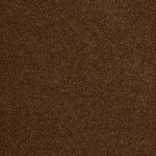Shaw Floors Value Collections Sandy Hollow Cl III Net Tortoise Shell 00707_5E511