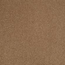 Shaw Floors Value Collections Sandy Hollow Cl III Net Windmill 00720_5E511