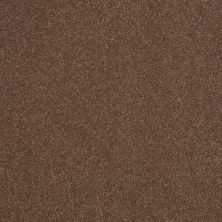 Shaw Floors Value Collections Sandy Hollow Cl III Net Wooden Box 00721_5E511