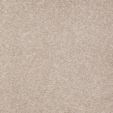 Shaw Floors Value Collections Sandy Hollow Cl Iv Net Soft Shadow 00105_5E512