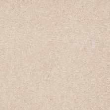 Shaw Floors Value Collections Sandy Hollow Cl Iv Net Cashew 00106_5E512