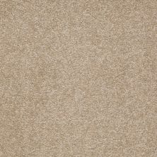 Shaw Floors Value Collections Sandy Hollow Cl Iv Net Sahara 00205_5E512