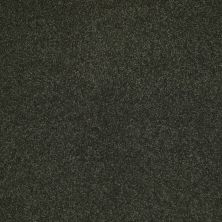 Shaw Floors Value Collections Sandy Hollow Cl Iv Net Lilly Pad 00320_5E512