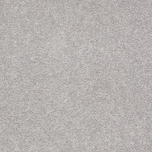 Shaw Floors Value Collections Sandy Hollow Cl Iv Net Silver Charm 00500_5E512