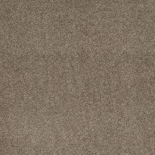 Shaw Floors Value Collections Sandy Hollow Cl Iv Net Wood Smoke 00520_5E512