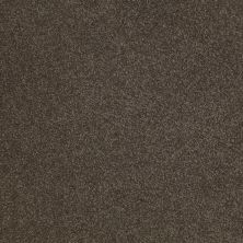 Shaw Floors Value Collections Sandy Hollow Cl Iv Net Arrowhead 00522_5E512