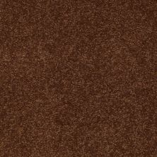 Shaw Floors Value Collections Sandy Hollow Cl Iv Net Tortoise Shell 00707_5E512