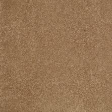 Shaw Floors Value Collections Sandy Hollow Cl Iv Net Windmill 00720_5E512