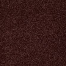 Shaw Floors Value Collections Sandy Hollow Cl Iv Net Rouge Red 00820_5E512