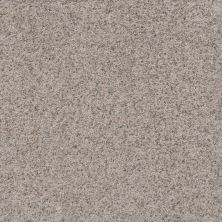 Shaw Floors Value Collections Replenished Net Perfect Greige 00106_5E513
