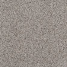 Shaw Floors Value Collections Replenished Net Touch Of Gray 00500_5E513