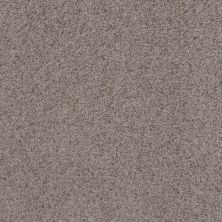 Shaw Floors Value Collections Replenished Net Pewter Taupe 00501_5E513