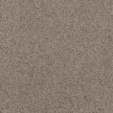 Shaw Floors Value Collections Replenished Net Frosted Mocha 00704_5E513