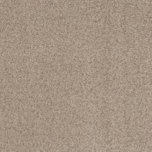 Shaw Floors Value Collections Work It Out Net Shell Island