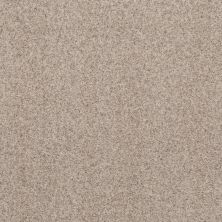 Shaw Floors Value Collections Work It Out Net Reliable Beige