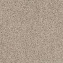 Shaw Floors Value Collections Work It Out Net Moonwalk