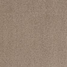 Shaw Floors Value Collections Work It Out Net Sweet Tea