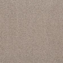 Shaw Floors Value Collections Work It Out Net Latte