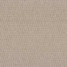 Shaw Floors Pet Perfect Plus Crafted Embrace Net Sun Kissed 00107_5E515