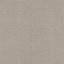 Shaw Floors Pet Perfect Plus Crafted Embrace Net Sandstone 00108_5E515