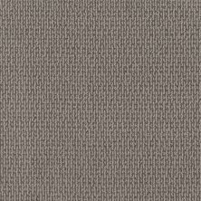 Shaw Floors Pet Perfect Plus Crafted Embrace Net Stormy Breeze 00505_5E515