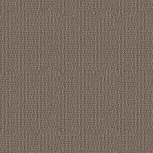 Shaw Floors Pet Perfect Plus Crafted Embrace Net Chestnut 00701_5E515