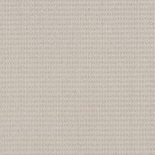 Shaw Floors Value Collections Chic Elevation Net Champagne Toast 00103_5E516