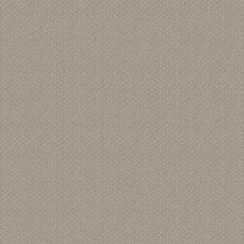 Shaw Floors Value Collections Channeling Net Sandstone 00108_5E517