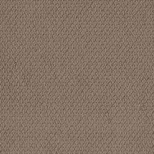 Shaw Floors Value Collections Channeling Net Worn Leather 00702_5E517