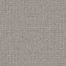 Shaw Floors Value Collections Embellished Net Ashen 00114_5E518