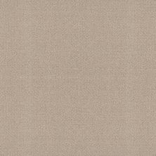 Shaw Floors Value Collections Embellished Net Malibu Dune 00117_5E518