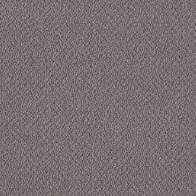 Shaw Floors Value Collections Embellished Net Dolphin 00516_5E518