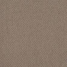 Shaw Floors Value Collections Embellished Net Raw Wood 00710_5E518