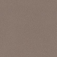 Shaw Floors Value Collections Embellished Net Chestnut 00711_5E518