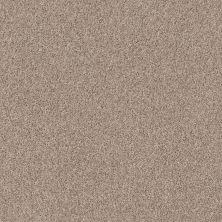 Shaw Floors Spirited Sandstone