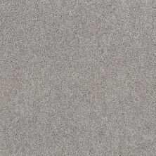 Shaw Floors Spirited Glacier Point