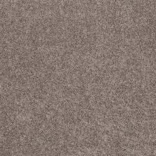 Shaw Floors Spirited Sandalwood