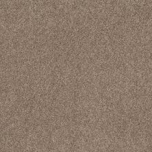 Shaw Floors Spirited Raw Wood