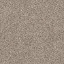 Shaw Floors Basic Mix Sandstone 0100T_5E527