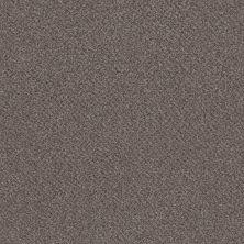 Shaw Floors Basic Mix Anthracite 0721A_5E527