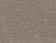 Shaw Floors Value Collections Basic Mix Wt Sandstone 0100T_5E547