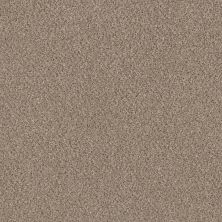 Shaw Floors Value Collections Basic Mix Wt Baltic Stone 0102T_5E547