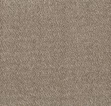 Shaw Floors Value Collections Basic Mix Wt Burnished Silver 0500B_5E547