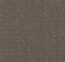 Shaw Floors Value Collections Basic Mix Wt Baltic Stone 0102T_5E547